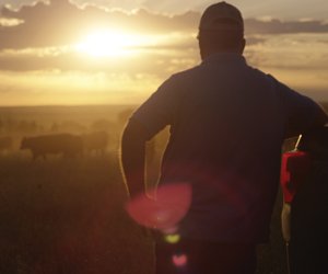 Man looking at a field during sunrise