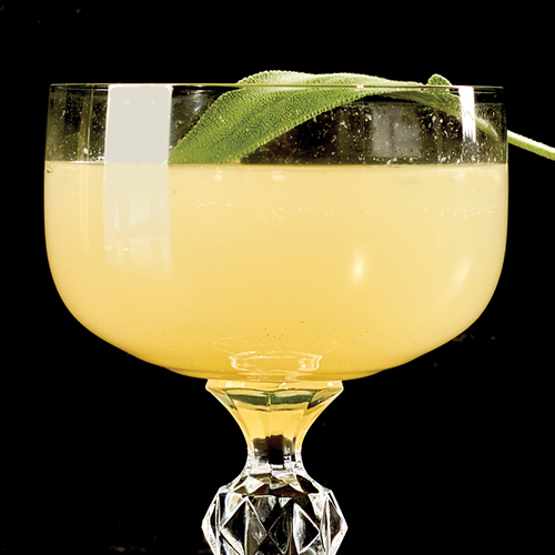 Nonalcoholic Sparkling Sage Gimlet with fresh sage leaves, simple syrup, fresh lime juice and sparkling water.